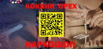 крисы Будённовск