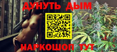 крисы Будённовск