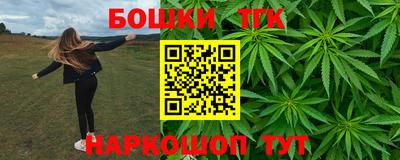 крисы Будённовск