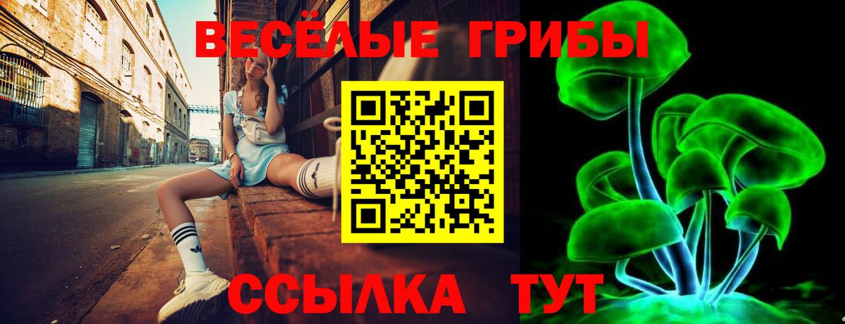 дарнет шоп  Вход с VPN  Назарово  Галлюциногенные грибы прущие грибы  Псилоцибиновые грибы Cubensis 